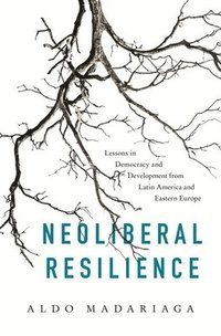 bokomslag Neoliberal Resilience