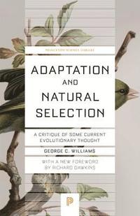 bokomslag Adaptation and Natural Selection