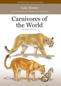bokomslag Carnivores of the World: Second Edition