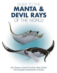 bokomslag Guide to the Manta and Devil Rays of the World