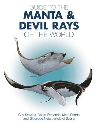 bokomslag Guide to the Manta and Devil Rays of the World