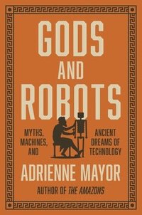 bokomslag Gods and Robots