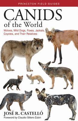 bokomslag Canids of the World