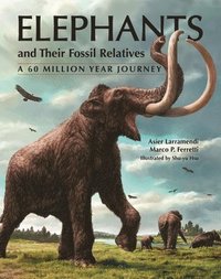 bokomslag Elephants and Their Fossil Relatives