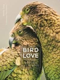 bokomslag Bird Love