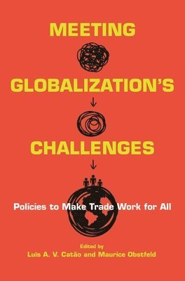 bokomslag Meeting Globalization's Challenges