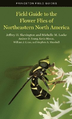 bokomslag Field Guide to the Flower Flies of Northeastern North America