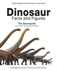 bokomslag Dinosaur Facts And Figures
