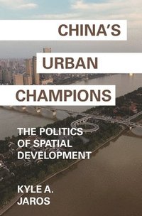 bokomslag China's Urban Champions