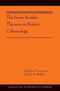 bokomslag The Norm Residue Theorem in Motivic Cohomology