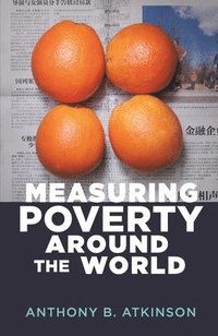 bokomslag Measuring Poverty around the World