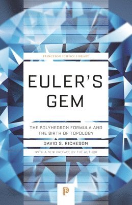 bokomslag Euler's Gem