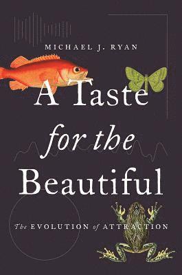A Taste for the Beautiful 1