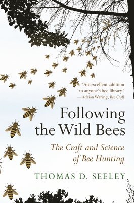 Following the Wild Bees 1