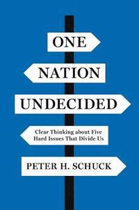 bokomslag One Nation Undecided