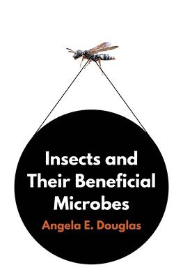 bokomslag Insects and Their Beneficial Microbes