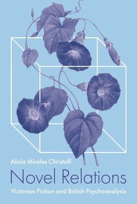 Alicia Mireles Professor Christoff, Alicia Mireles Christoff - Novel Relations, Inbunden