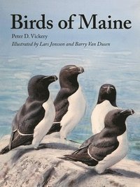 bokomslag Birds of Maine