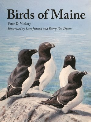 Birds of Maine 1