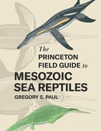 bokomslag The Princeton Field Guide to Mesozoic Sea Reptiles