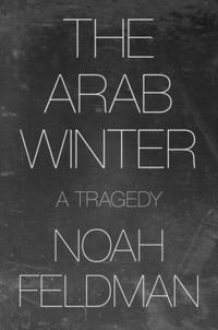 bokomslag The Arab Winter