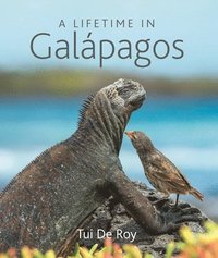 bokomslag Lifetime In Galapagos