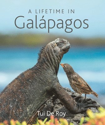 Lifetime In Galapagos 1