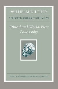 bokomslag Wilhelm Dilthey: Selected Works, Volume VI