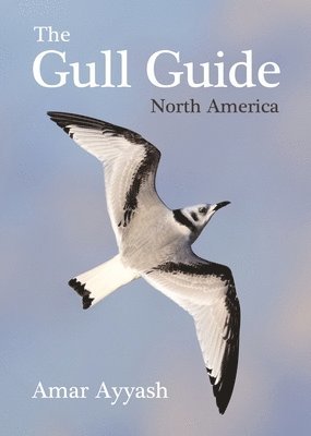 Amar Ayyash - Gull Guide, Häftad