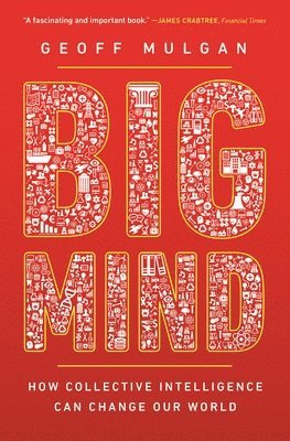 bokomslag Big Mind