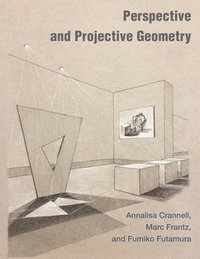 bokomslag Perspective and Projective Geometry