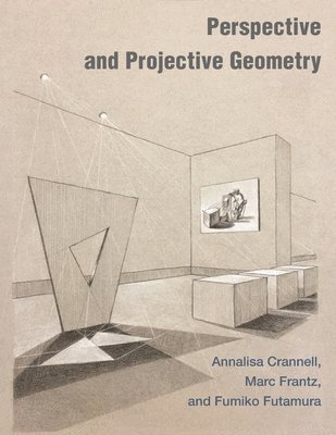 bokomslag Perspective and Projective Geometry