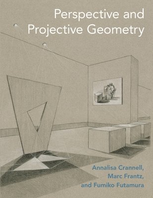 bokomslag Perspective and Projective Geometry