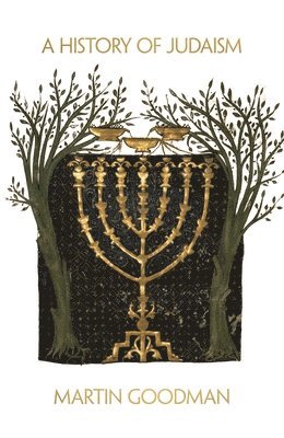 bokomslag A History of Judaism