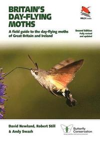 bokomslag Britain's Day-flying Moths