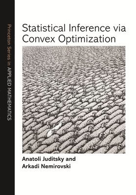 Anatoli Juditsky, Arkadi Nemirovski - Statistical Inference via Convex Optimization, Inbunden