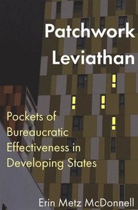 bokomslag Patchwork Leviathan