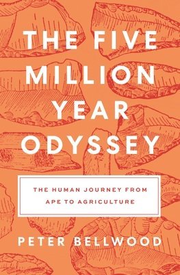 bokomslag The Five-Million-Year Odyssey