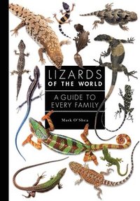 bokomslag Lizards of the World