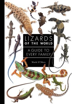 bokomslag Lizards of the World
