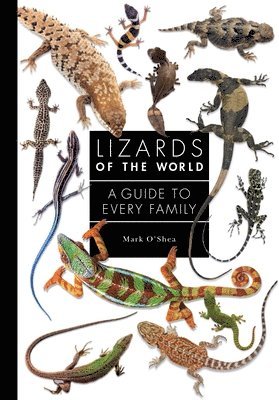 Lizards Of The World 1
