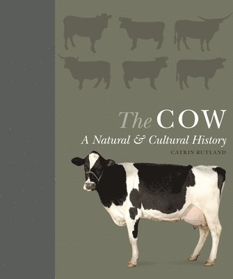 Catrin Rutland - The Cow: A Natural and Cultural History, Inbunden