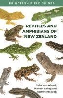 bokomslag Reptiles And Amphibians Of New Zealand