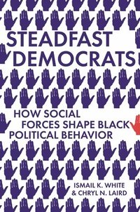 bokomslag Steadfast Democrats