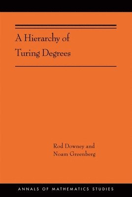 bokomslag A Hierarchy of Turing Degrees