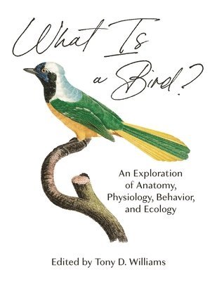 What Is a Bird? 1