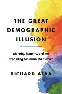 bokomslag The Great Demographic Illusion