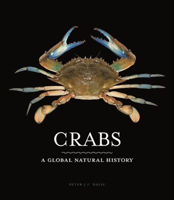 Crabs 1