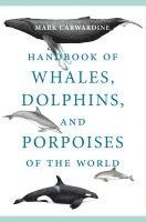 bokomslag Handbook Of Whales, Dolphins, And Porpoises Of The World