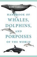 bokomslag Handbook of Whales, Dolphins, and Porpoises of the World